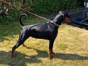 461450482_10232825994342291_133698231260932103_n