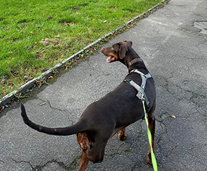 461492018_8383724968388497_5099036201532235056_n