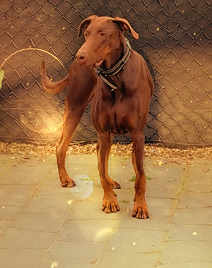 461655929_1561887678047032_4886461345721371963_n