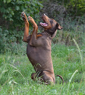 462561780_1088285696337008_7713410803647393492_n