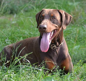 462569094_492485867079043_1097411144406725912_n