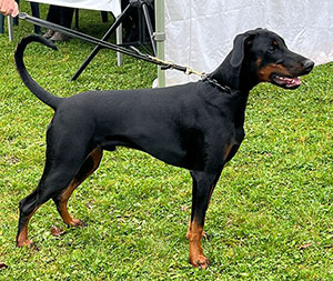 464473439_8454477494649627_4739957486958719390_n1