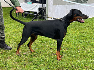 464701012_8454477291316314_1932284364490493086_n