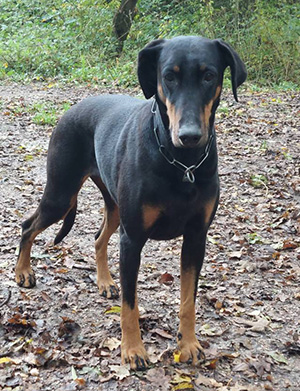 466669494_8767621676664965_195785000833079820_n