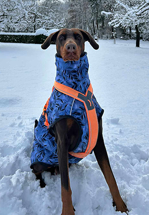 467643131_1353716846052742_403676604086927204_n