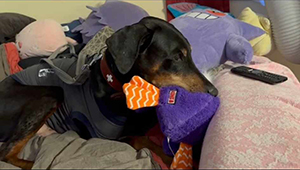 472447684_3864806467070596_7735945785703231548_n