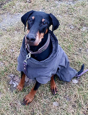 475839840_3074678366020440_295403065471768448_n