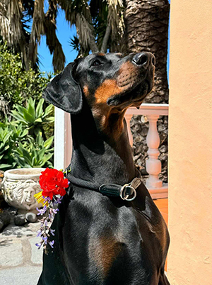 476320605_550035244195946_5270480988514669658_n