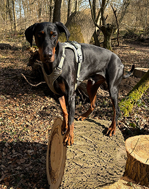 481785283_9389096537822842_3466931171381474706_n