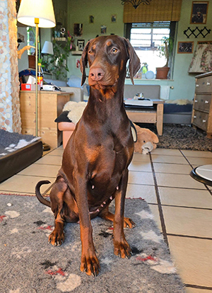 481954021_9193670440730325_6572754069336195071_n