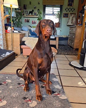 482022010_9193670164063686_9025196746611454115_n