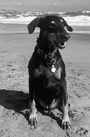 490981139_3253675631441312_46367528752834309_n