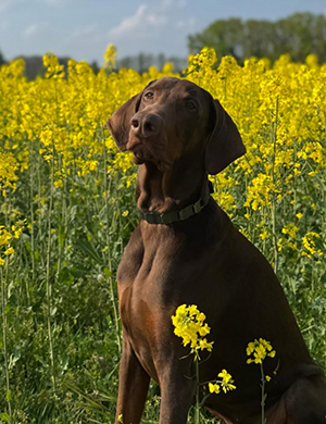 492128953_1201650664968862_1939442943212246364_n