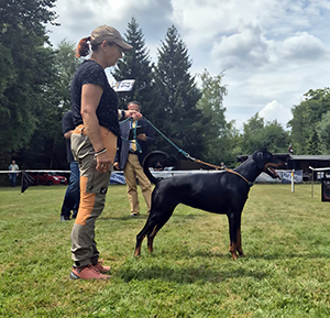 519902117_23909015222102604_6356908525530003454_n