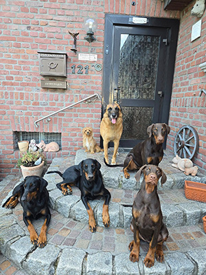 533866121_24137131415957649_9087774162366195661_n