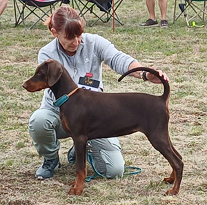 535975028_24142191262118331_665328843794673205_n