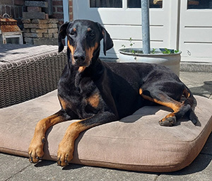 536273308_24416707334663147_7183810318381841576_n