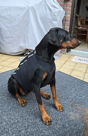 538244160_24196686283335495_5850605875277403093_n