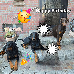 539860346_24236783819325741_6472521298541469286_n