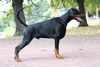 554859394_4307903056110681_5367076527386955360_nklein