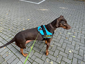 556072634_24649571094710626_1137373422859018964_n