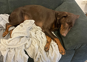 557479257_2716263572038482_1553919722382374193_n