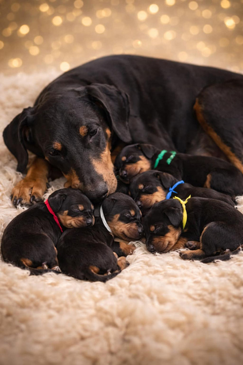 58c808c4-ed83-476b-8691-4a8cfff93b8c