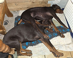 593734239_25109139678756813_5554008720627978463_n