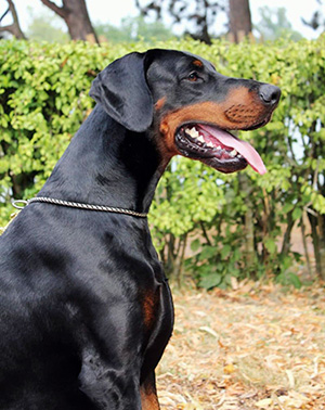 555571030_4307903109444009_3544476739297358875_n2