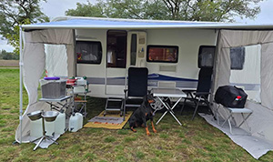 FB_IMG_1728910832631