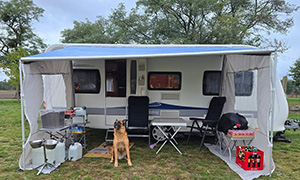 FB_IMG_1728910838199