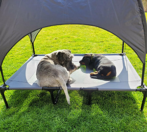 483c6ae6-ff11-468c-9673-6ef78177ff4f