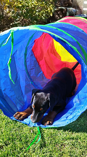 827d3af9-f40c-4604-89ea-dcc5b54ab901