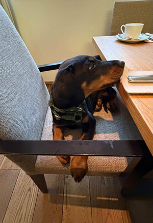 a904b3c1-5387-4d39-9829-f4cb6041d1f3