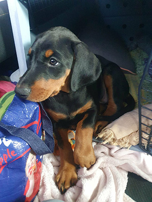 b6a9033a-880e-47fd-9777-7a567be7c4ee