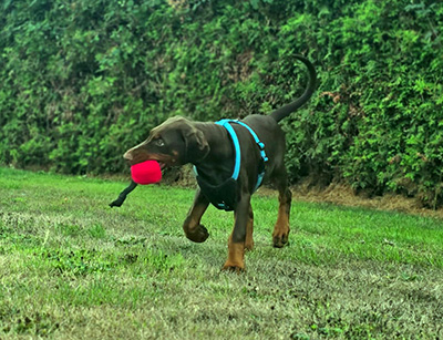 IMG-20260822-WA0016