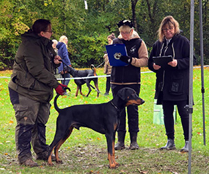 da8571c3-3f60-4d0f-a65b-66178c856c60