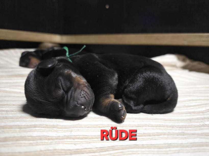 0653e1d8-b81d-4f10-8ef7-4ac1dcc6dca2