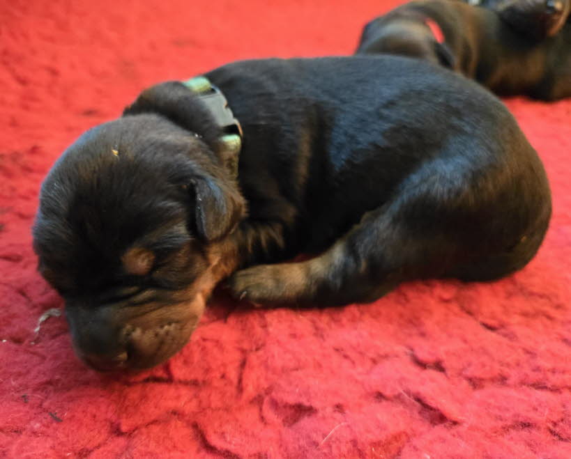 0e522763-4ba5-4e6a-b23c-31f035ae463c