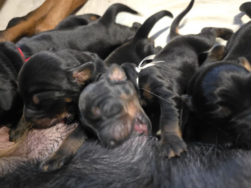 294787b1-4a5e-43a1-9322-9f46062450cb