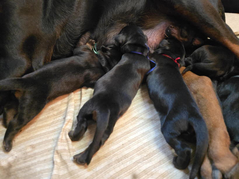 2e4e873f-b7a5-4d3c-898e-148bf00bc501