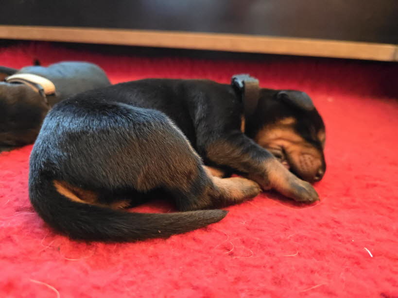 3900108f-a335-4305-810a-ca7472a0a59f