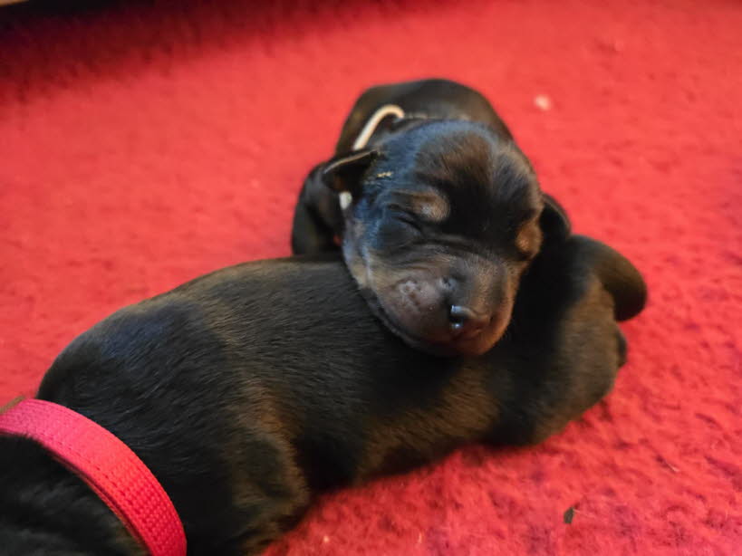 582aec28-6fb9-4055-a21a-fdaed3f8f701