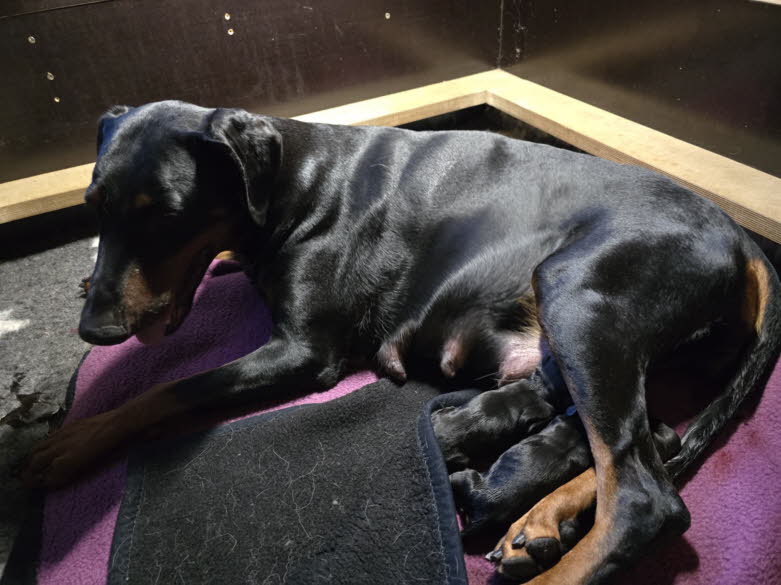 5c1f741e-4425-4d80-ac4b-bb681f9ea23f