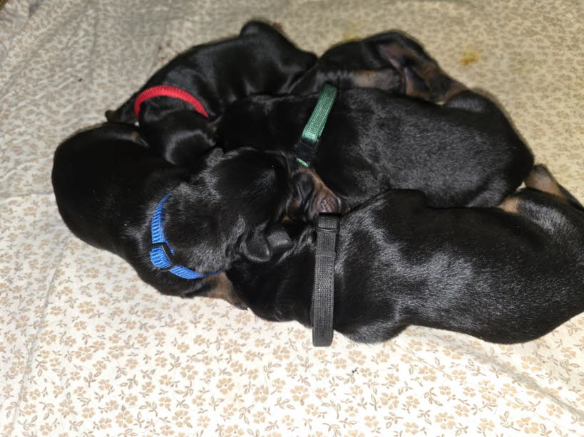 6dcfa845-0fbf-490a-ab6c-5bf13d74689a