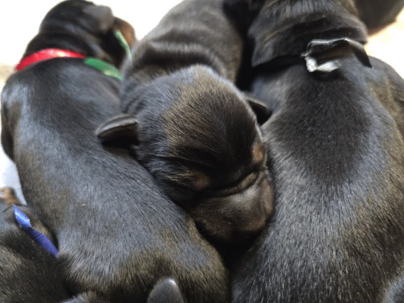 73e4bb3b-3126-448d-b19f-3e3b73fcc352