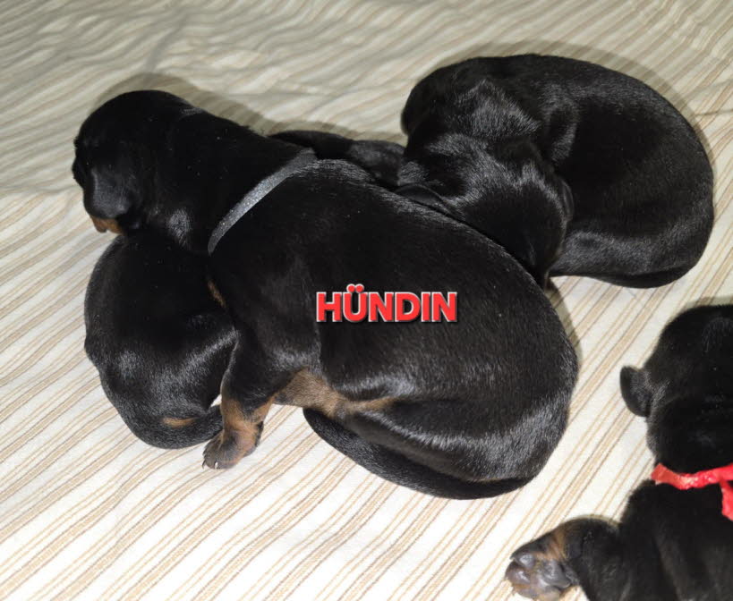 73e729c2-280c-4c94-93a6-4b51c8cfd06f