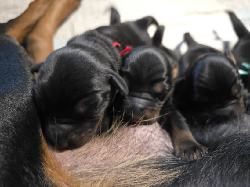 76dd5509-e70c-4b0b-af6e-5764b928cb36