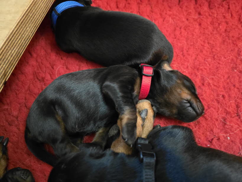 77eb239b-616b-44f5-a1c8-8d3368fa00de