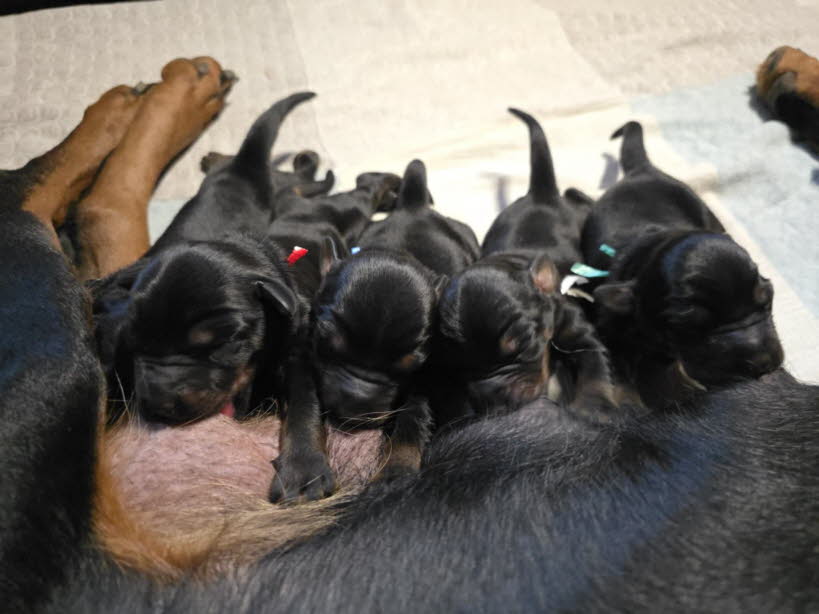 797ac835-2c2e-4b47-8d97-58db7a44b00b (2)